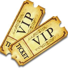 vip travel sarasota