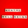 The Role of Family Support in a Young Adult Mental Health Treatment Center